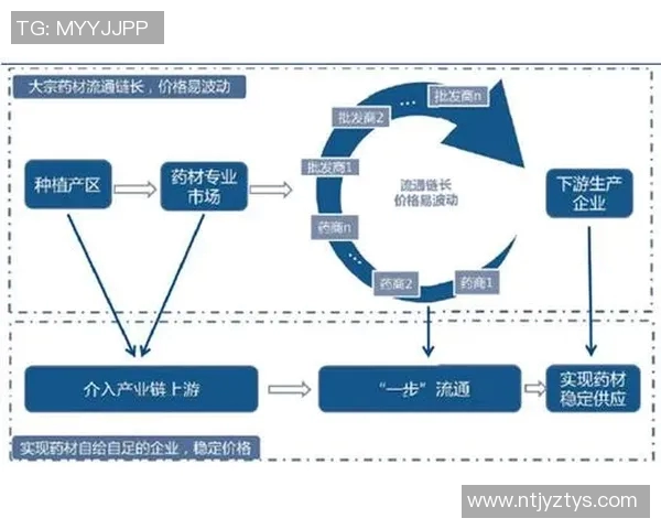 北京足球队运营模式解析及其在中国足球发展中的影响 北京足球队运营模式解析及其在中国足球发展中的影响
