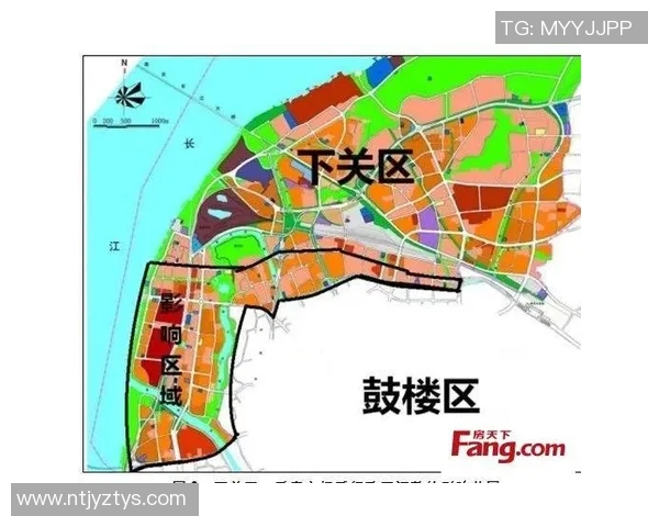 南京网球队实力深度解析与对比分析报告