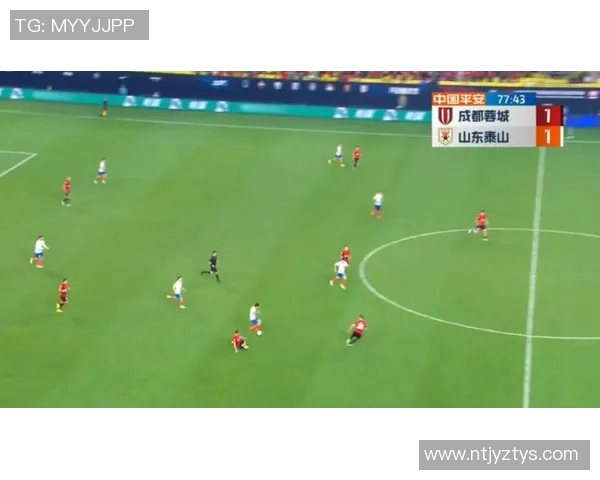 成都羽毛球队防守革新之路探秘与战术解析 成都羽毛球队防守革新之路探秘与战术解析