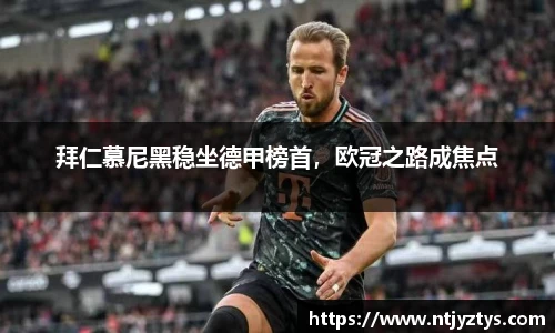 拜仁慕尼黑稳坐德甲榜首，欧冠之路成焦点