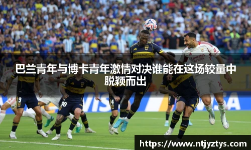 mk体育官网入口
