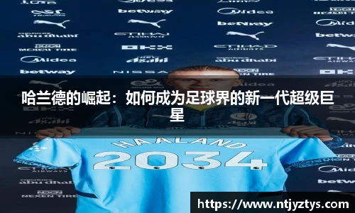 mk体育官网入口