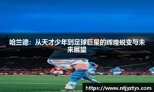 mk体育平台